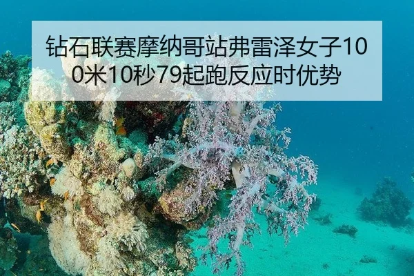 zuan-shi-lian-sai-mo-na-ge-zhan-fu-lei-ze-nv-zi-mi-miao-qi-pao-fan-ying-shi-you-shi-2-603.jpg